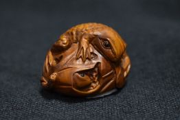 An early 20th century Japanese Netsuke carved wood sculpture of a frog with lily leaf wrapped around