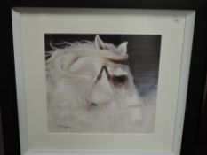 Taylor, (contemporary), after, a print, white horse's head, 31 x 31cm, mounted black framed and