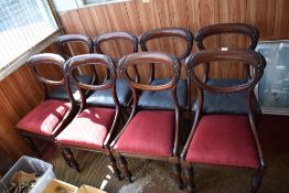 A set of eight William IV mahogany balloon back dining chairs, of traditional form, with drop in