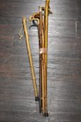 Seven walking sticks or canes including horn handles and carved woods