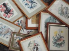 C F Tunnicliffe,(1901-19790, after, re-prints, bird studies, 29 x 20cm, framed and glazed, 32 x