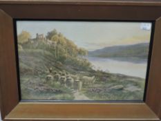 (20th century), a print, Highland sheep, 23 x 33cm, framed nd glazed, 33 x 44cm