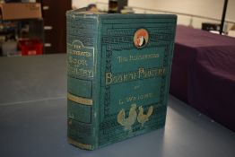 Livestock. Wright, Lewis - The Illustrated Book of Poultry. London: Cassell, Petter, & Galpin.
