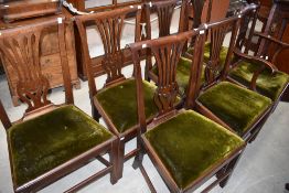 A set of six Georgian mahogany dining chairs having scroll backs and a matched carver chair