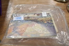 A selection of early 20th century postcards including black and white photography and hand painted