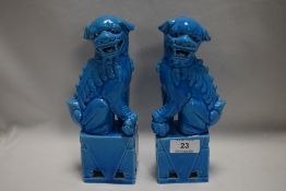 A pair of Chinese porcelain temple dogs of Fo in an azure blue glaze