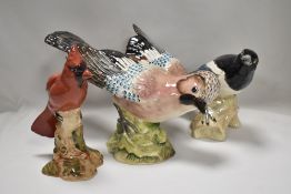 Three Beswick studies, Jay 1219, Magpie 2305 and Cardinal 927