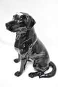 A Beswick study, fireside model, Black Labrador 2314
