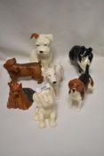Seven Beswick studies, Norfolk Terrier 2984, Beagle 1933, Bull Terrier 970, Yorkshire Terrier