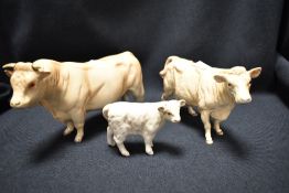 Three Beswick studies, Charolais bull 2463A, cow 3075A and calf 1827B, gloss finish.