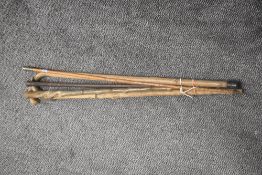 A selection of walking sticks and canes