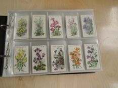 A collection of WD & HO Wills Cigarette Cards in 12 modern albums, mainly full sets if not all,