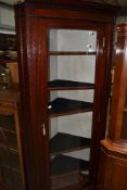 An early 20th Century mahogany full height corner display cabinet
