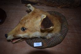 A taxidermy fox mask mounted on a flat cap