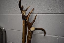 4 Antler topped Hazel walking sticks various lengths