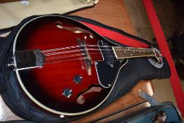 A Blue Moon electric mandolin, with padded gig bag