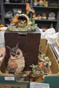 A selection of Border Fine Arts, Goebel and similar bird studies and Country Artists Owl