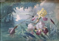 JEANNE DUMELIE (France vers 1900)