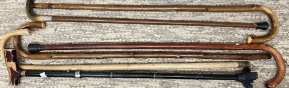 A horn handled walking stick with a silver collar together with a collection of walking sticks