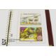 GB Regional (Channel Island & IoM) Mint Stamps - Image 9 of 26