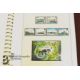 GB Regional (Channel Island & IoM) Mint Stamps - Image 12 of 26