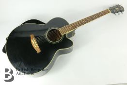 Ibanez AEL10 Acoustic Guitar