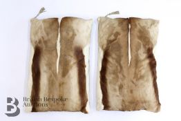 Two Taxidermy Springbok Hide Cushions