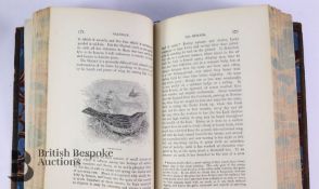 Rev. C.A Johns British Birds