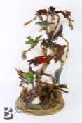 Victorian Taxidermy Group of Hummingbirds