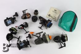 Quantity of Surf Reels