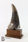 Polished Stone Fin