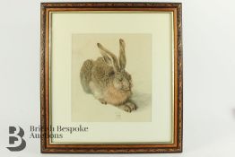 After Albrecht Dürer - Young Hare