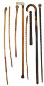 A collection of two walking sticks and others