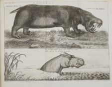 LUDOLF, Hiob, A New History of Ethiopia 1682