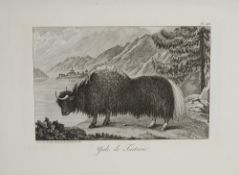 TURNER., Samuel, Ambassade au Thibet et au Boutan, 1800