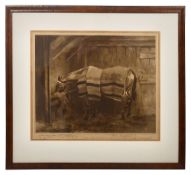 A collection of three early 20th century equine related prints