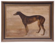 Late 19th century British School 'Study of a brindle greyhound'