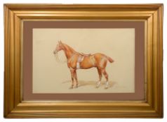 Frank Paton (British, 1855-1909) 'Study of a Chestnut Gelding'
