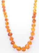 GRADUATING AMBER NECKLACE