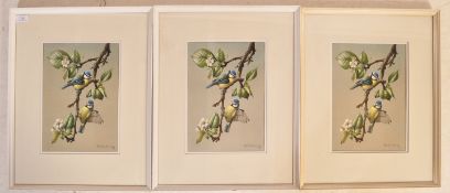 EDWIN PENNY - LIMITED EDITION BLUE TIT PRINTS