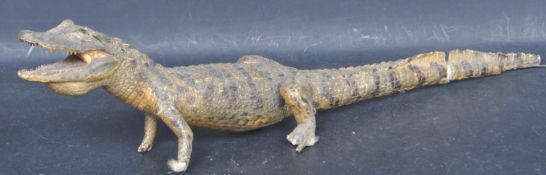TAXIDERMY BABY CROCODILE