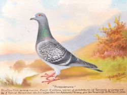 Fine Art & Antiques Auction