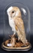 19TH CENTUR VICTORIAN TAXIDERMY BARN OWL IN DOME