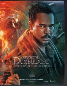 WILLIAM NADYMAN - FANTASTIC BEASTS – SECRETS OF DUMBLEDORE AUTOGRAPH