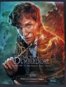 EDDIE REDMAYNE - FANTASTIC BEASTS – SECRETS OF DUMBLEDORE
