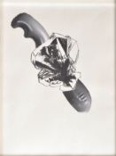 CELIAN BALDASARRE (ARGENTINEAN) - 25 AGOSTO, 2015