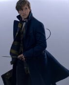 EDDIE REDMAYNE - FANTASTIC BEASTS - SIGNED 8X10