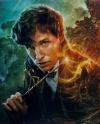 EDDIE REDMAYNE - FANTASTIC BEASTS - AUTOGRAPHED 8X10