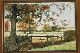 TIM HAYARD - 20TH CENTURY WATERCOLOUR ON PAPER PAINTING