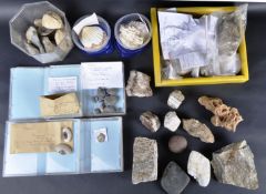 FOSSILS - LARGE COLLECTION OF BIVALVES FOSSILS, MINERALS & ROCK SPECIMENS